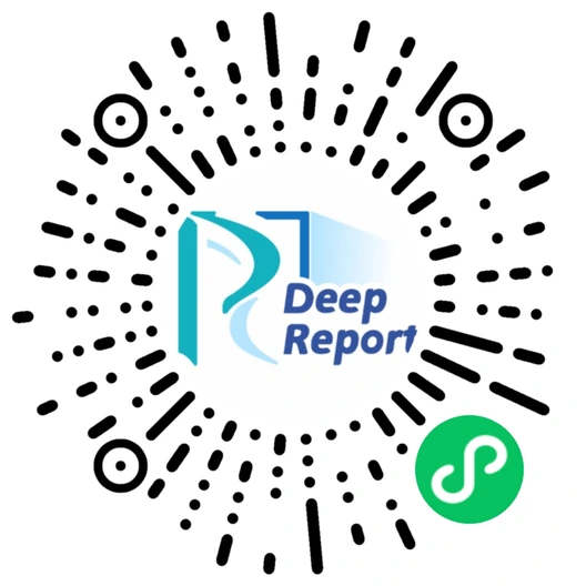 微信扫码进入 DeepReport 小程序